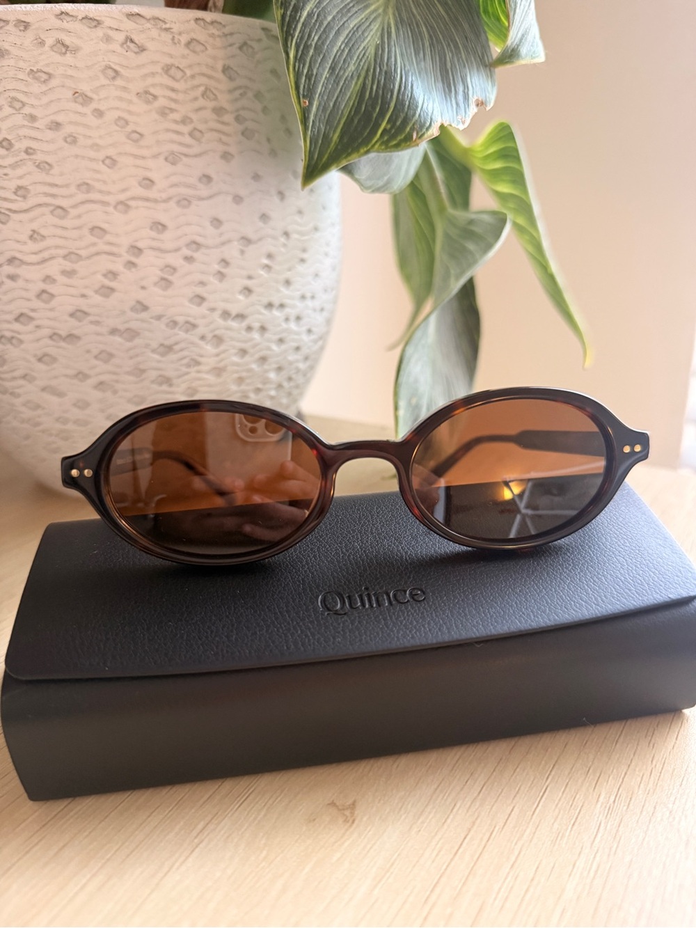 Quince Mallorca Oval Sunglasses in Tortoise Brown